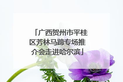 广西贺州市平桂区芳林马蹄专场推介会走进哈尔滨