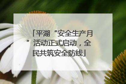 平湖“安全生产月”活动正式启动，全民共筑安全防线