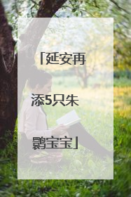 延安再添5只朱鹮宝宝