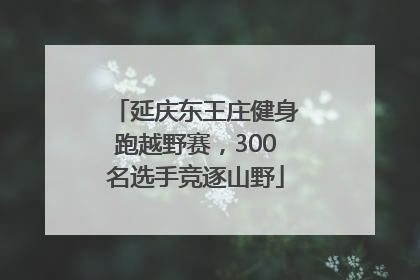 延庆东王庄健身跑越野赛，300名选手竞逐山野