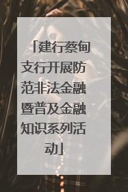 建行蔡甸支行开展防范非法金融暨普及金融知识系列活动