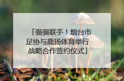 强强联手！烟台市足协与鹿扬体育举行战略合作签约仪式