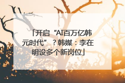 开启“AI百万亿韩元时代”？韩媒：李在明设多个新岗位