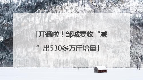 开镰啦！邹城麦收“减”出530多万斤增量