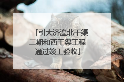 引大济湟北干渠二期和西干渠工程通过竣工验收