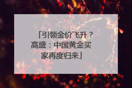 引领金价飞升？高盛：中国黄金买家再度归来