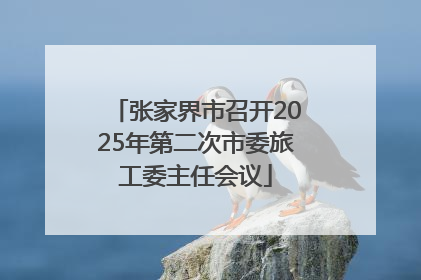 张家界市召开2025年第二次市委旅工委主任会议