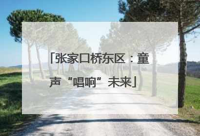张家口桥东区：童声“唱响”未来