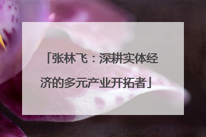 张林飞：深耕实体经济的多元产业开拓者