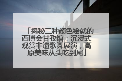 揭秘三种颜色绘就的西博会甘孜馆：沉浸式观赏非遗歌舞展演，高原美味从头吃到尾
