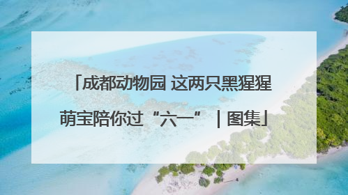 成都动物园 这两只黑猩猩萌宝陪你过“六一”｜图集
