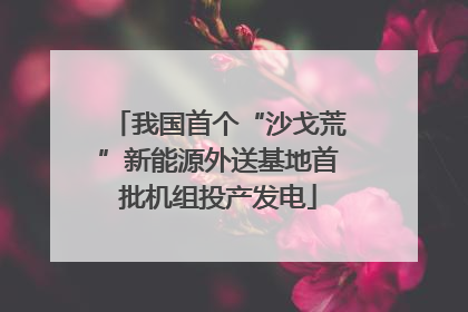 我国首个“沙戈荒”新能源外送基地首批机组投产发电