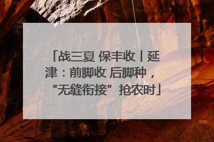 战三夏 保丰收丨延津：前脚收 后脚种，“无缝衔接”抢农时