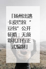 扬州出逃卡皮巴拉“豆包”公开征婚：无须彩礼且有正式编制