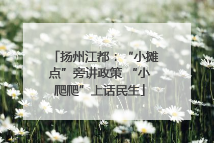 扬州江都：“小摊点”旁讲政策 “小爬爬”上话民生