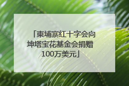 柬埔寨红十字会向坤塔宝花基金会捐赠100万美元