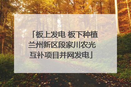 板上发电 板下种植 兰州新区段家川农光互补项目并网发电