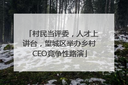 村民当评委，人才上讲台，望城区举办乡村CEO竞争性路演