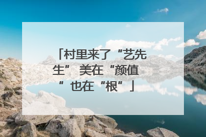 村里来了“艺先生” 美在“颜值”也在“根”