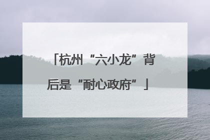 杭州“六小龙”背后是“耐心政府”
