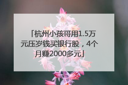 杭州小孩哥用1.5万元压岁钱买银行股，4个月赚2000多元