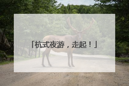 杭式夜游，走起！