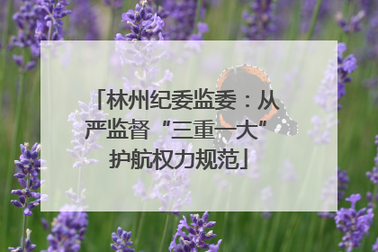 林州纪委监委：从严监督“三重一大” 护航权力规范