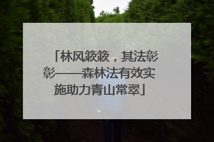 林风簌簌，其法彰彰——森林法有效实施助力青山常翠