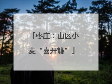 枣庄：山区小麦“喜开镰”