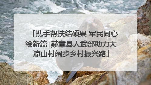 携手帮扶结硕果 军民同心绘新篇∣赫章县人武部助力大凉山村阔步乡村振兴路