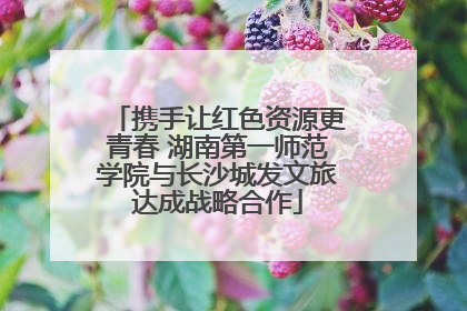 携手让红色资源更青春 湖南第一师范学院与长沙城发文旅达成战略合作
