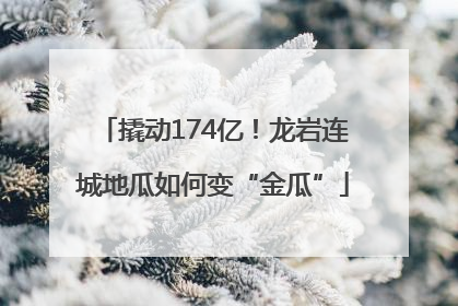 撬动174亿！龙岩连城地瓜如何变“金瓜”