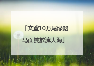 文登10万尾绿鳍马面鲀放流大海