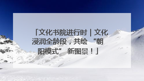 文化书院进行时｜文化浸润全龄段，共绘 “朝阳模式” 新图景！