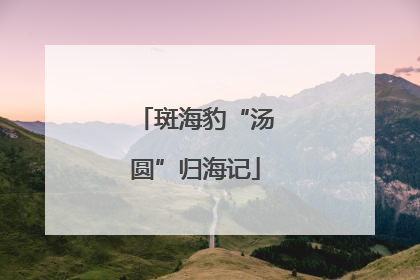 斑海豹“汤圆”归海记