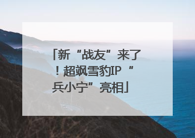 新“战友”来了！超飒雪豹IP“兵小宁”亮相