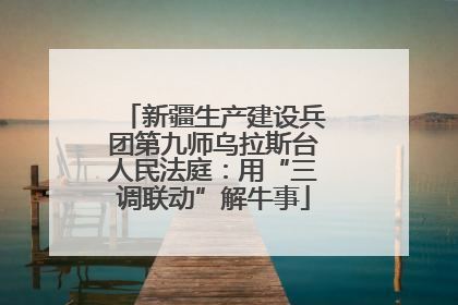新疆生产建设兵团第九师乌拉斯台人民法庭：用“三调联动”解牛事