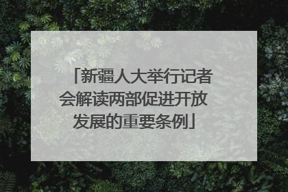 新疆人大举行记者会解读两部促进开放发展的重要条例
