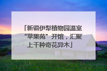 新疆伊犁植物园温室“苹果苑”开馆，汇聚上千种奇花异木