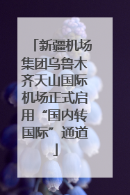 新疆机场集团乌鲁木齐天山国际机场正式启用“国内转国际”通道