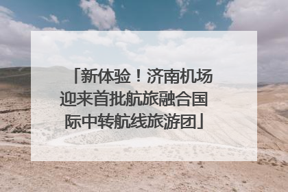 新体验！济南机场迎来首批航旅融合国际中转航线旅游团