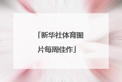 新华社体育图片每周佳作