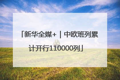 新华全媒+｜中欧班列累计开行110000列