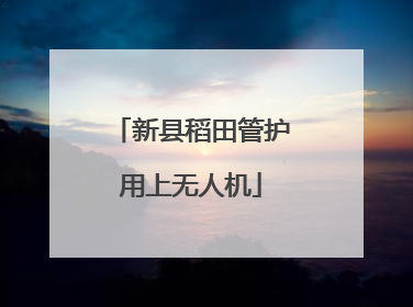 新县稻田管护用上无人机