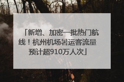 新增、加密一批热门航线！杭州机场暑运客流量预计超910万人次