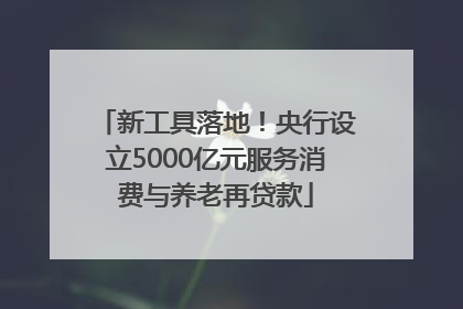 新工具落地！央行设立5000亿元服务消费与养老再贷款