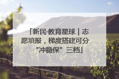 新民·教育星球｜志愿填报，梯度搭建可分“冲稳保”三档