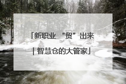 新职业 “贸”出来｜智慧仓的大管家