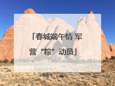 春城端午情 军营“粽”动员