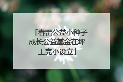 春雷公益小种子成长公益基金在坪上完小设立